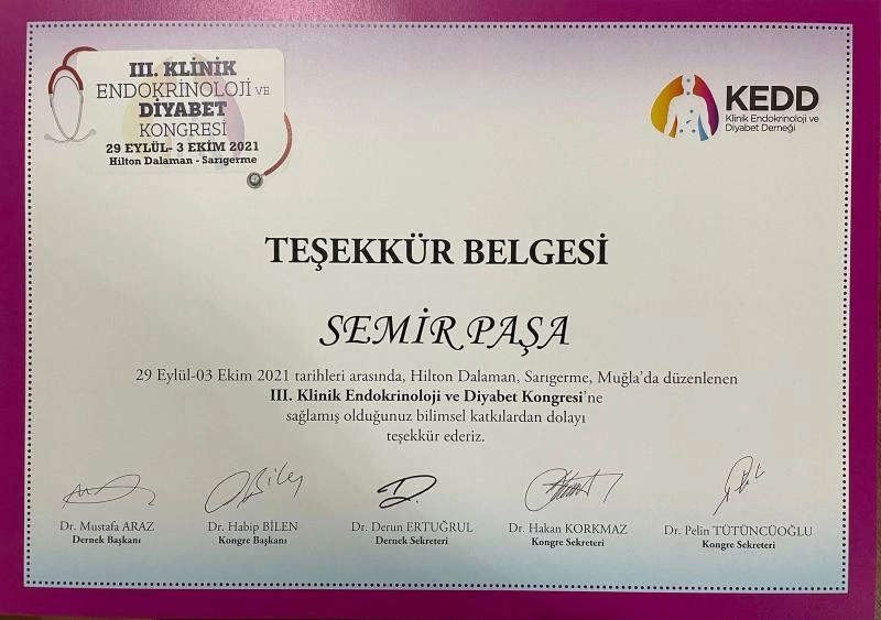 Prof. Dr. Semir Paşa iç hastalıkları akademik sertifika belgesi